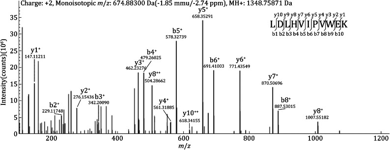 Fig. 2