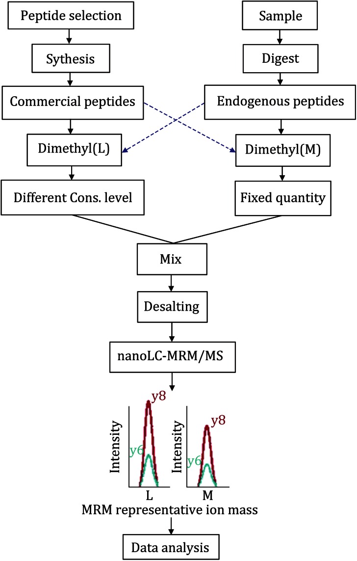 Fig. 1