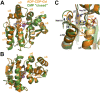 Fig 7