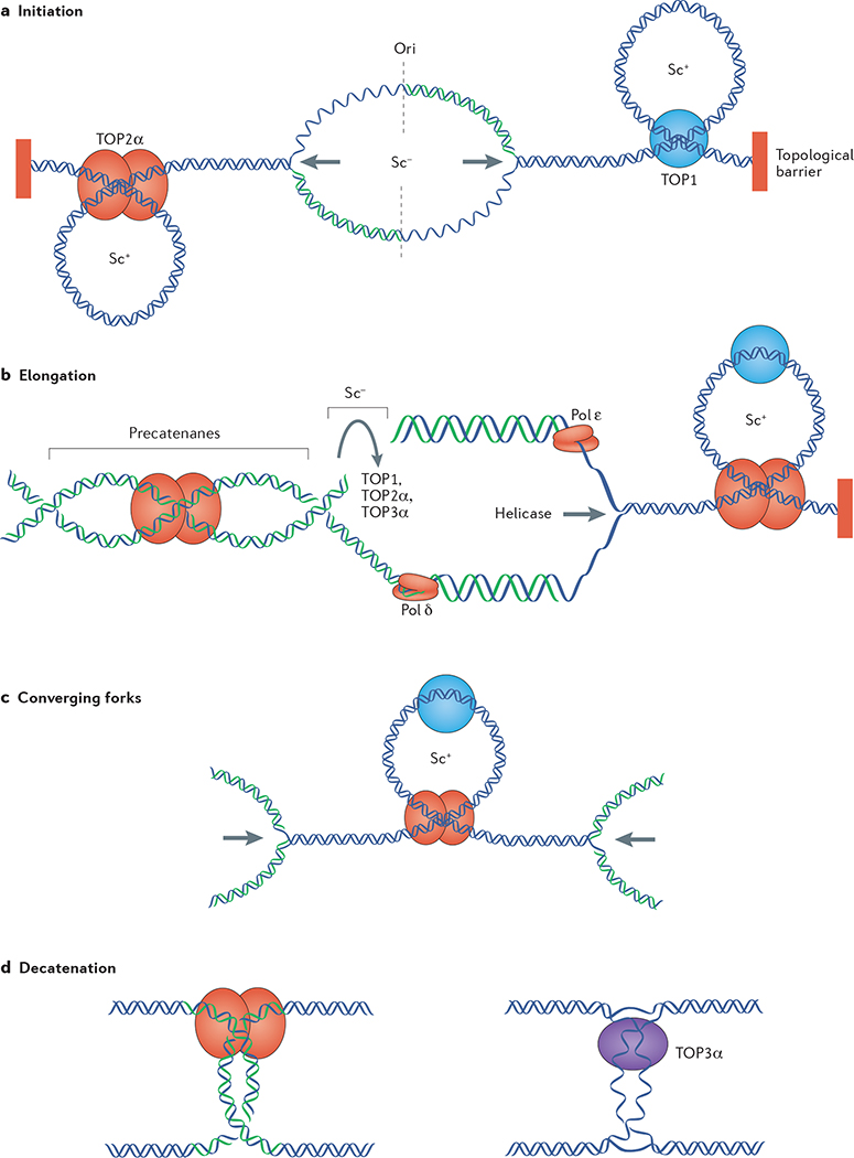 Figure 3 |