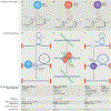 Figure 1 |