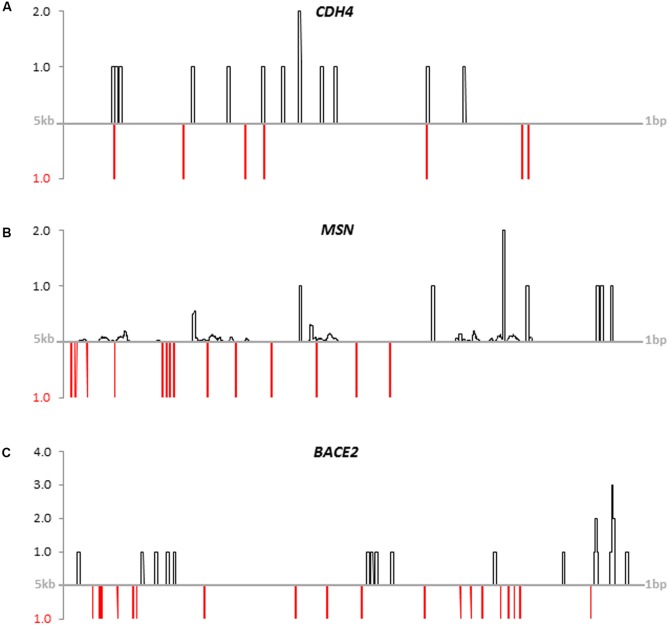 FIGURE 4