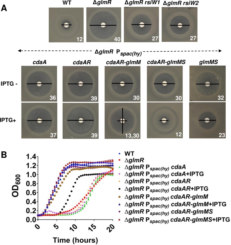 Fig 6