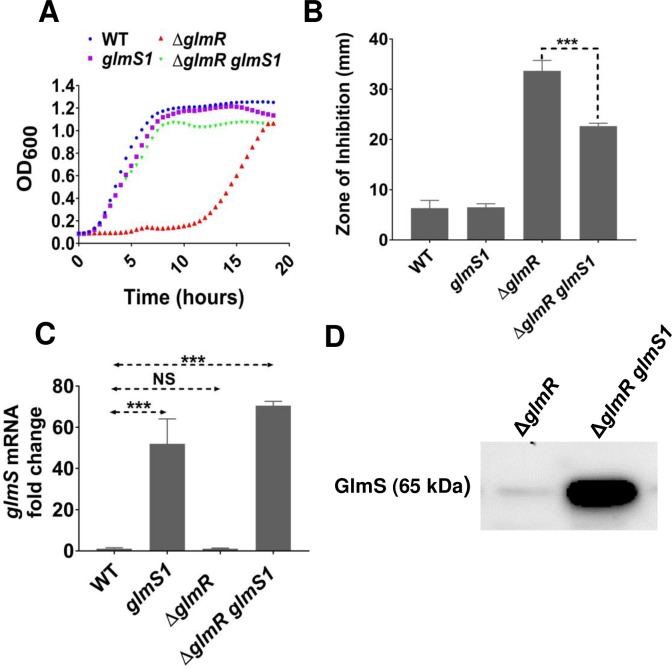 Fig 4