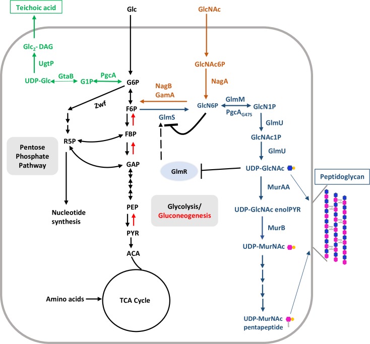 Fig 1