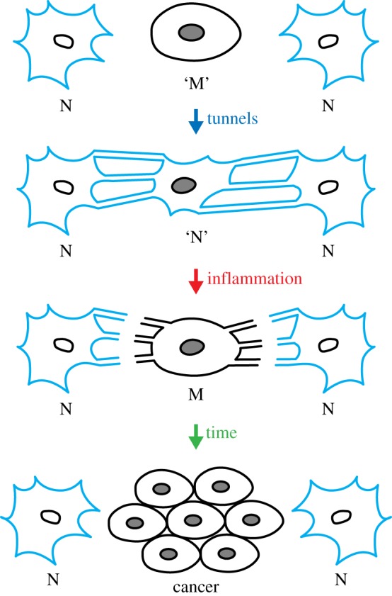 Figure 2.