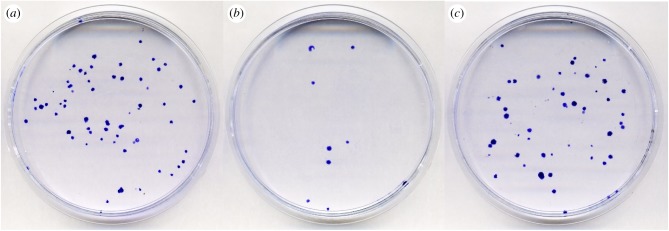 Figure 3.