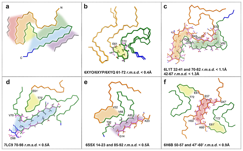 Extended Data Figure 6