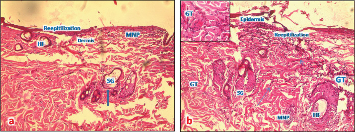 Fig. 7.