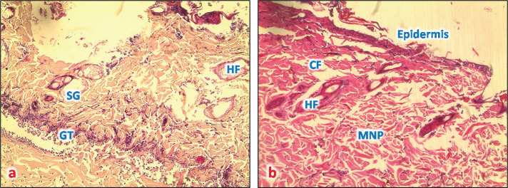 Fig. 9.