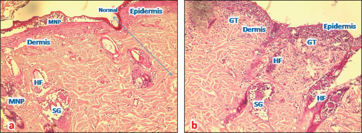 Fig. 8.