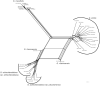 Figure 8.