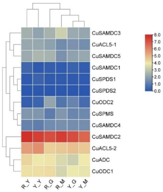 Figure 7