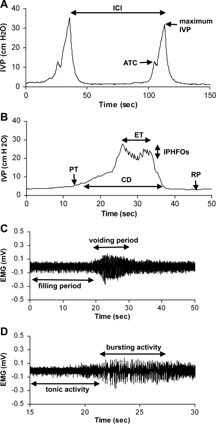 Fig. 1.