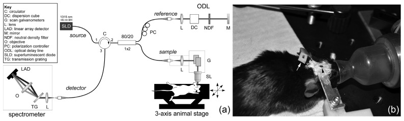 Fig. 1