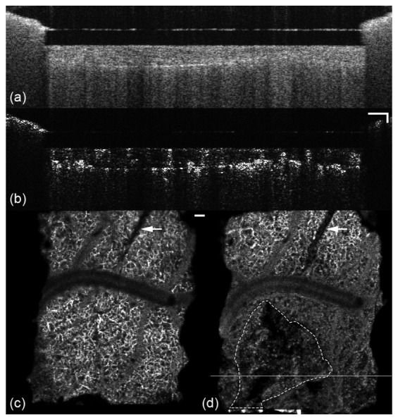 Fig. 9