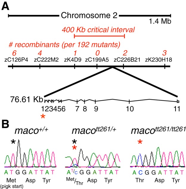 Fig. 1.