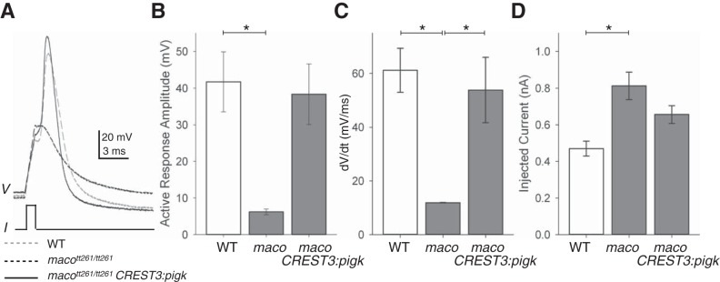 Fig. 6.