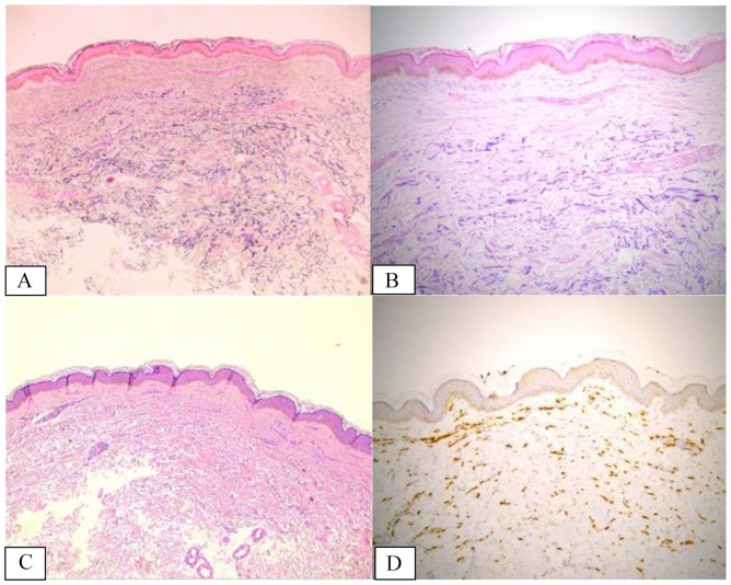 Figure 4.