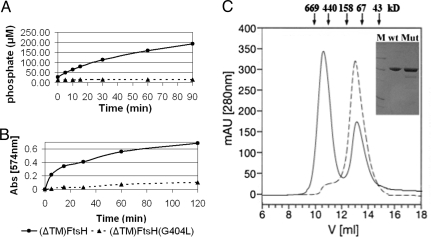 Fig. 3.