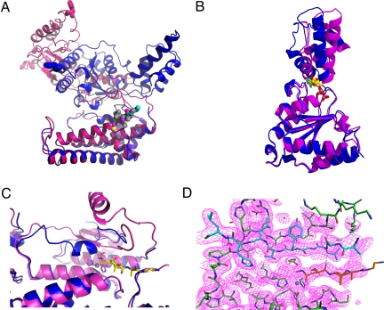 Fig. 2.