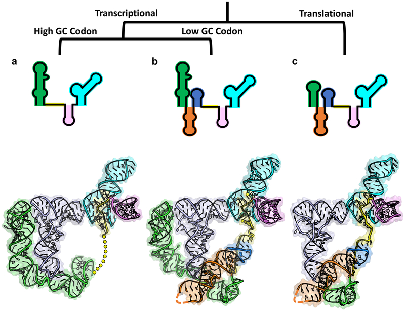 Figure 5.