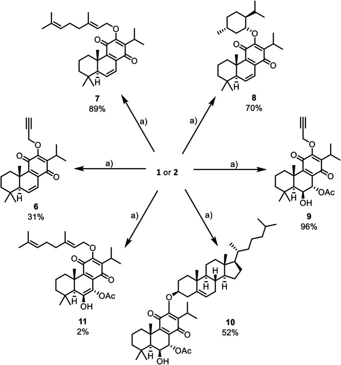 SCHEME 1