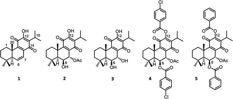 FIGURE 1