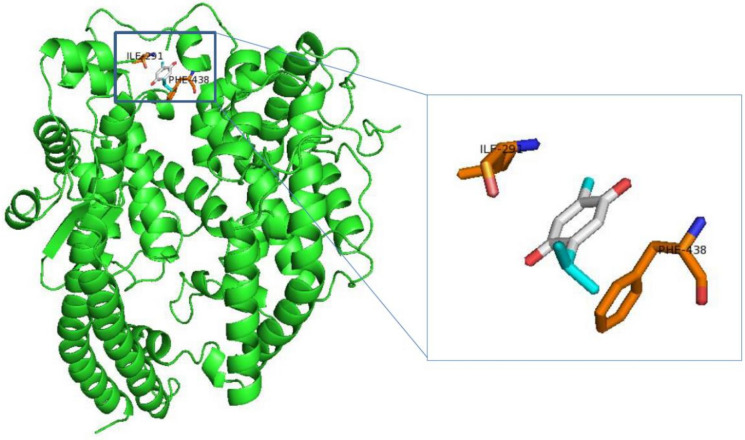 Fig. 1