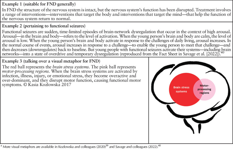graphic file with name hrp-31-60-g001.jpg