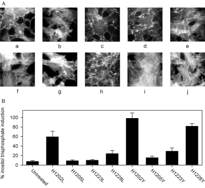 Fig. (2)