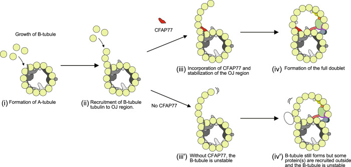 Fig. 7