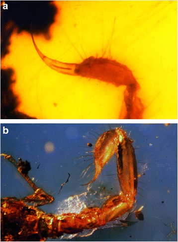 Fig. 6