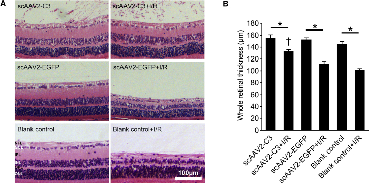 Figure 7