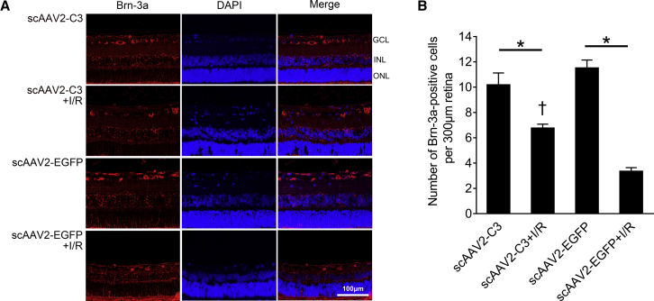 Figure 6