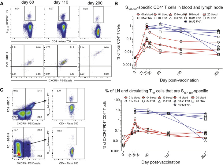 Figure 4