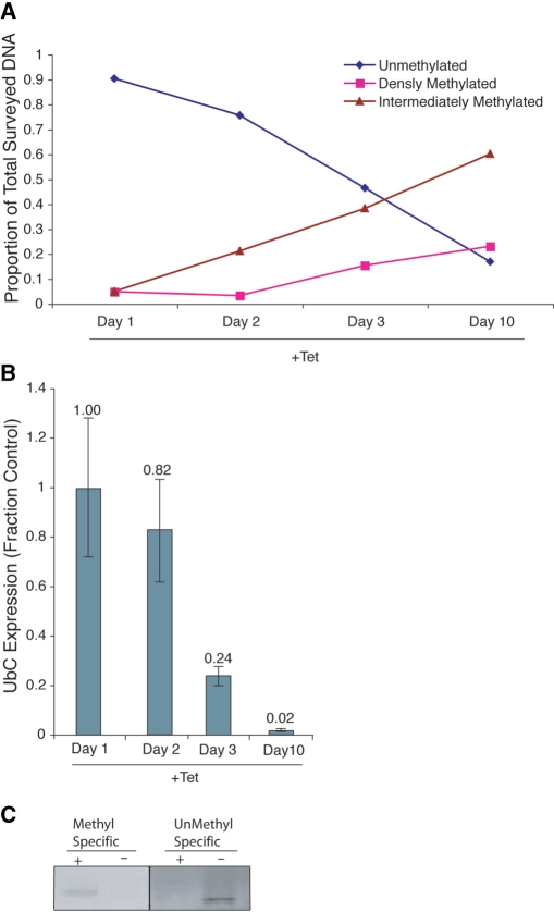 Figure 6.