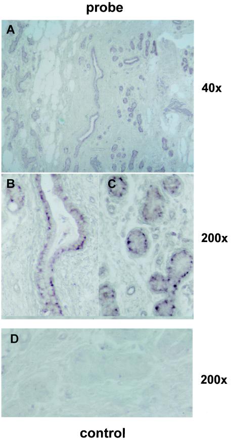 FIG.6.