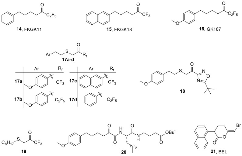 Fig. 3