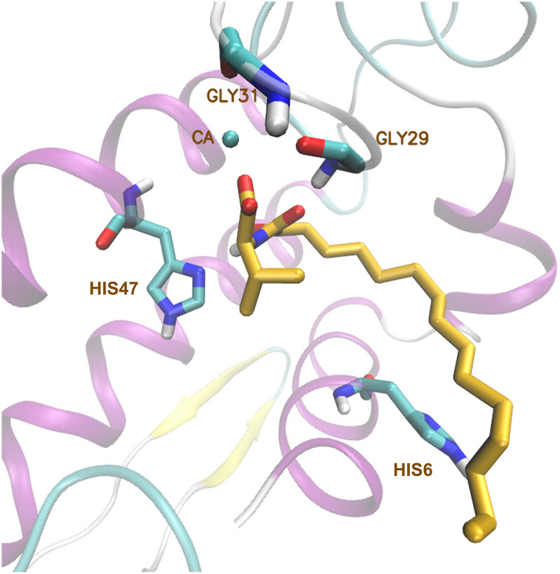 Fig. 10