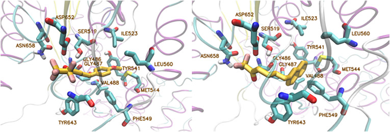 Fig. 7