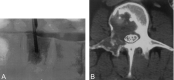F<sc>ig</sc> 11.