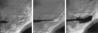 F<sc>ig</sc> 13.