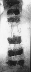F<sc>ig</sc> 15.