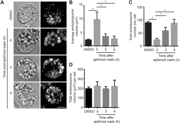 Fig. 6.