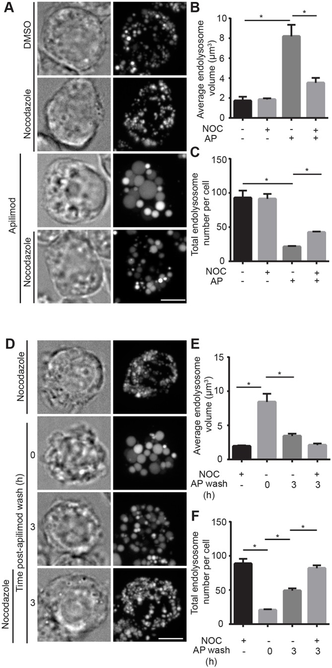 Fig. 7.