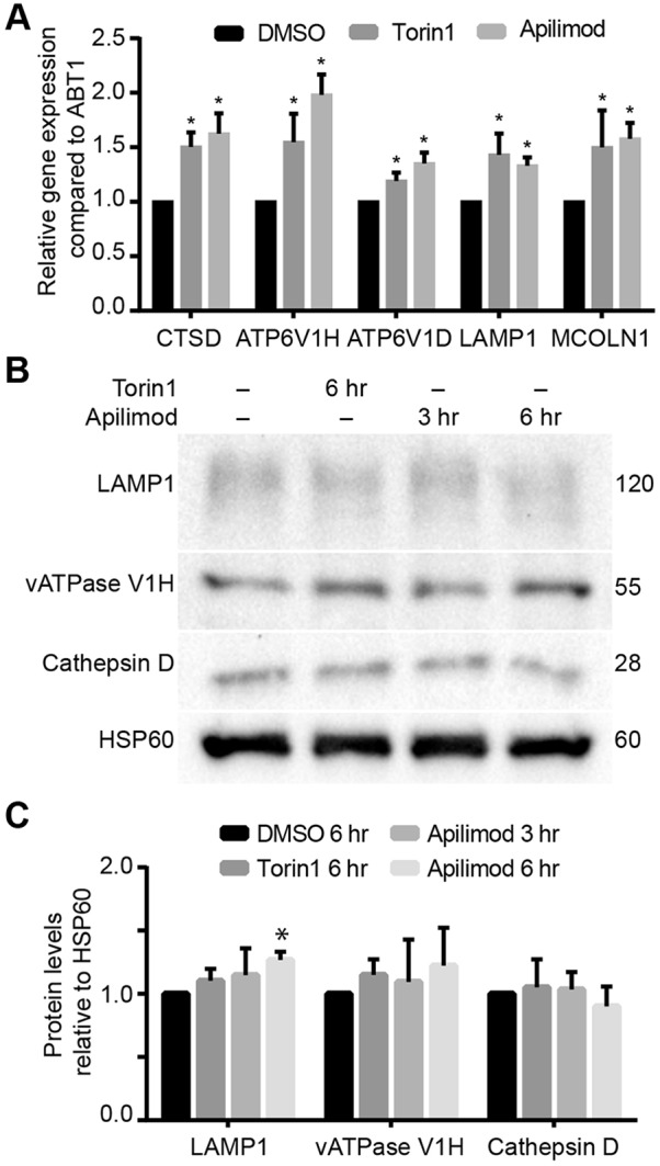 Fig. 3.