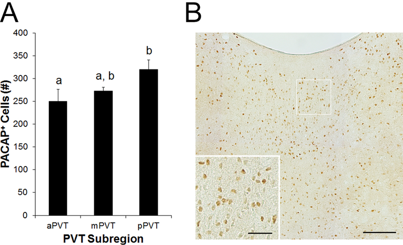 Fig 3.