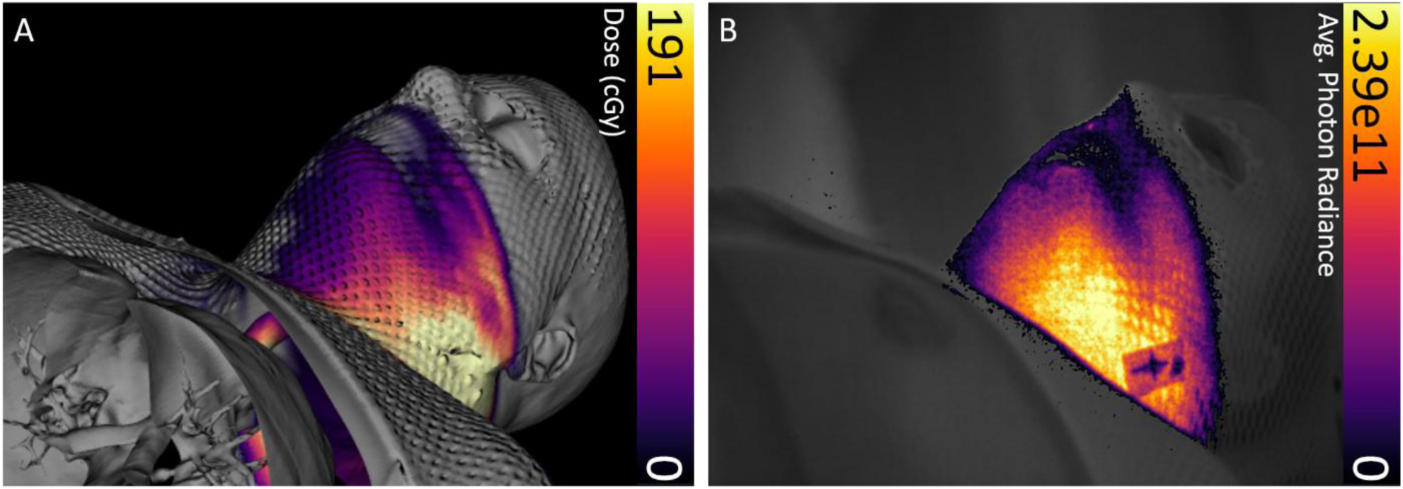 Figure 6: