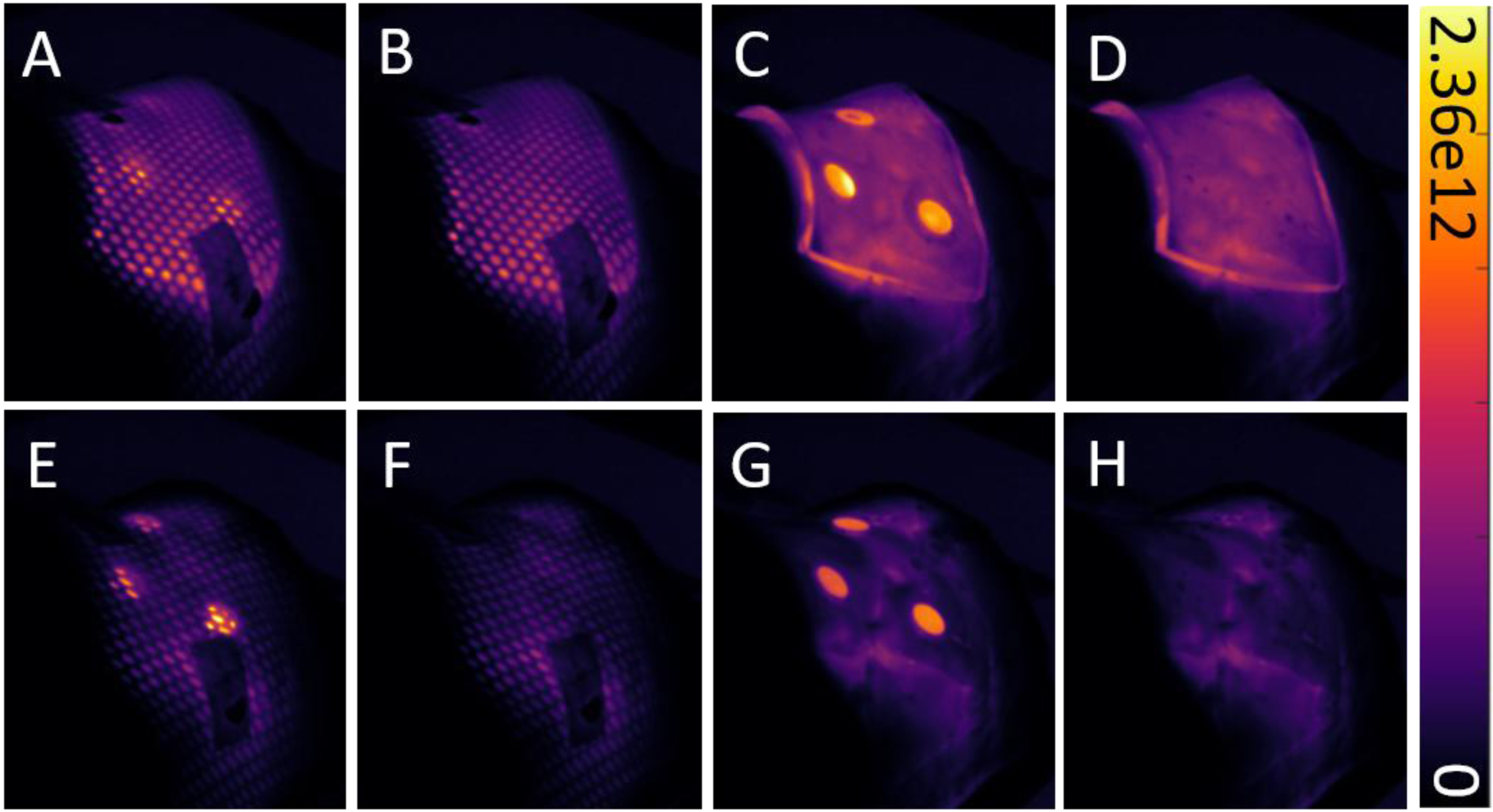 Figure 5: